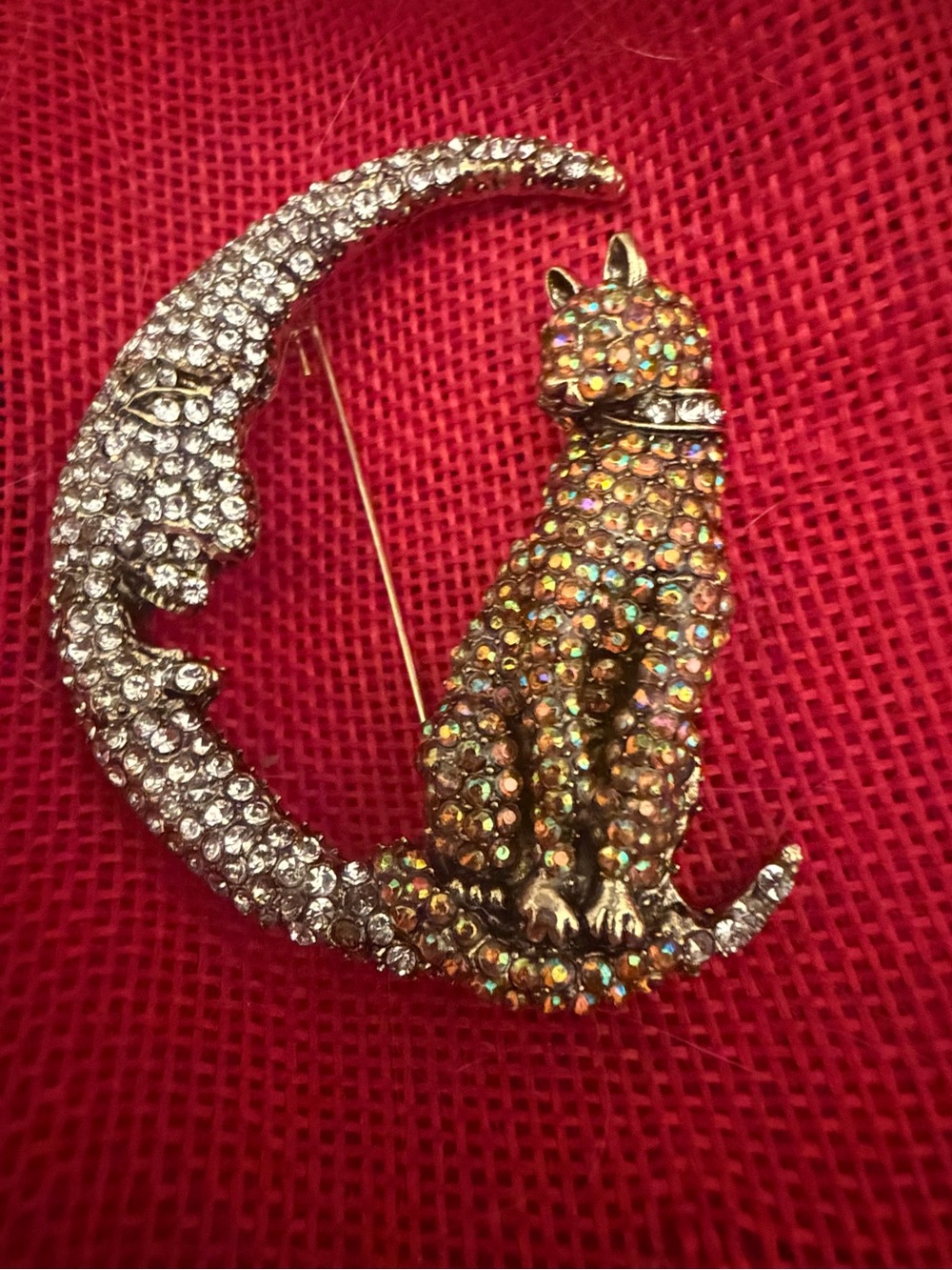 NWOT Crescent Moon Crystal Cat Brooch